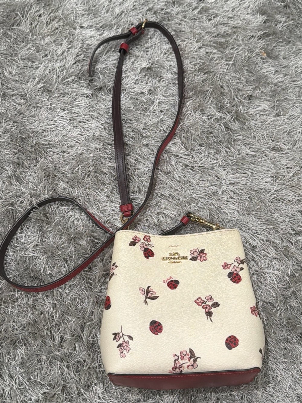 Coach Cream Crossbody with Pink Floral & Red Ladybug Accents